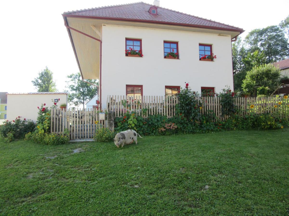Ubytovani Praschlhaus Horni Plana Exterior photo